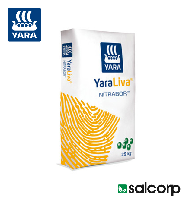 YaraMila 10-13-25 + S + Mg + B - 25/1